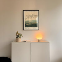 a minimalist interior design with a framed poster of a bird-filled landscape above a white cabinet, which has a small lamp on top.