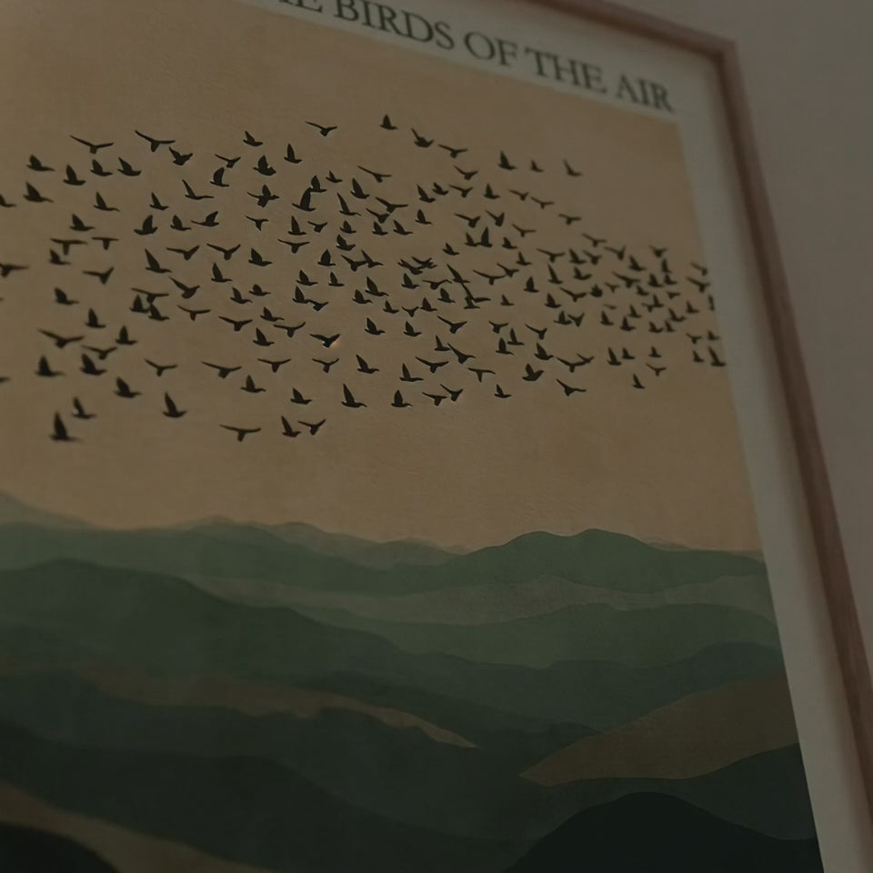Look at the birds of the air - Matthew 6:26